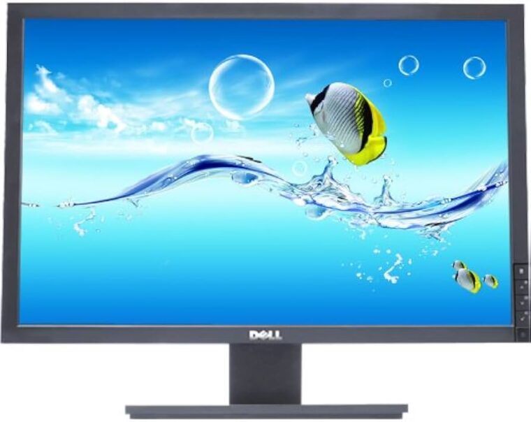 Dell monitorius E2210f, 22colių, 60Hz, 1680x1050p