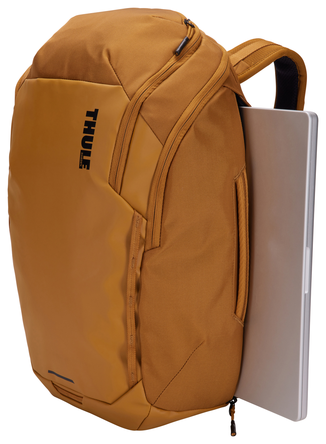 429723-tchb215-golden-brown-085854255134-7.webp RPC.lt, kompiuterinė technika, dalys, taisymas