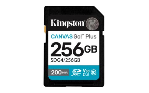 Kingston Canvas Go! Plus 256 GB SD kortelė, UHS-I, V30