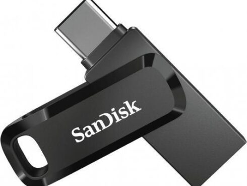 MEMORY DRIVE FLASH USB-C 1TB/SDDDC3-1T00-G46 SANDISK