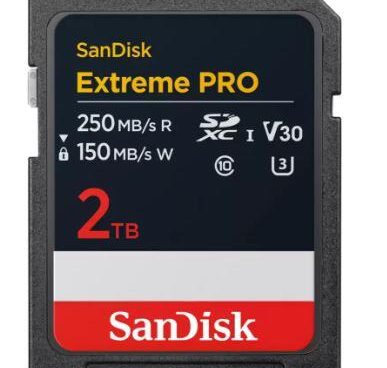 MEMORY SDXC 2TB UHS-1/SDSDXXD-2T00-GN4IN SANDISK