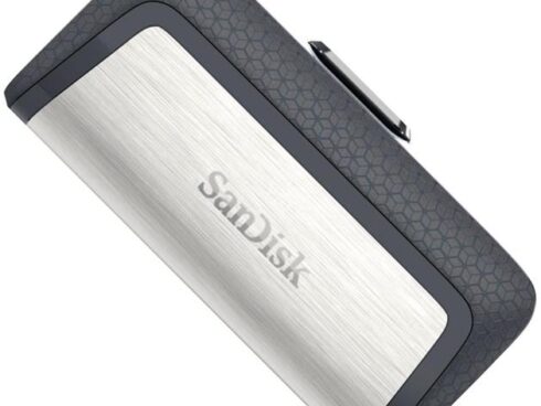 MEMORY DRIVE FLASH USB-C 32GB/SDDDC2-032G-G46 SANDISK