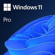 Software MICROSOFT Win 11 Pro GGK 64Bit Eng Intl 1pk DSP ORT OEI DVD Win Pro OEM English 4YR-00316