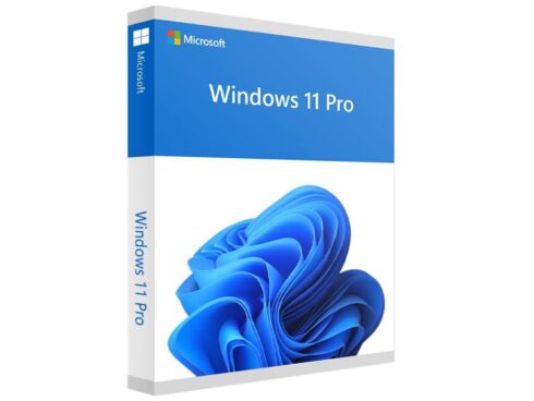 Software MICROSOFT Win Pro FPP 11 64-bit Eng Intl USB Win Pro Retail HAV-00163