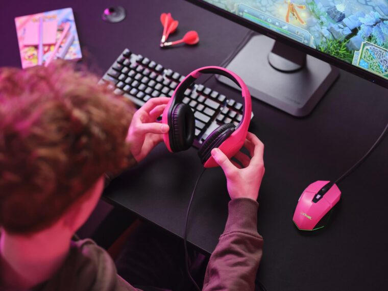 RPC.lt, kompiuterinė technika, dalys, taisymas