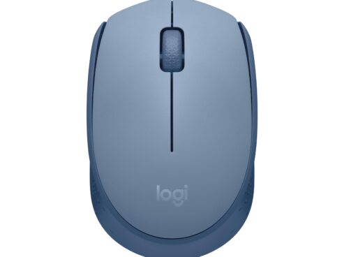 MOUSE USB OPTICAL WRL M171/BLUE 910-006866 LOGITECH