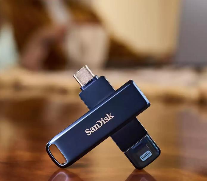 1afdbf86-4b69-42d9-90fe-3240e6b3f566 MEMORY DRIVE FLASH USB-C 64GB/SDIXD0N-064G-GN6NN SANDISK