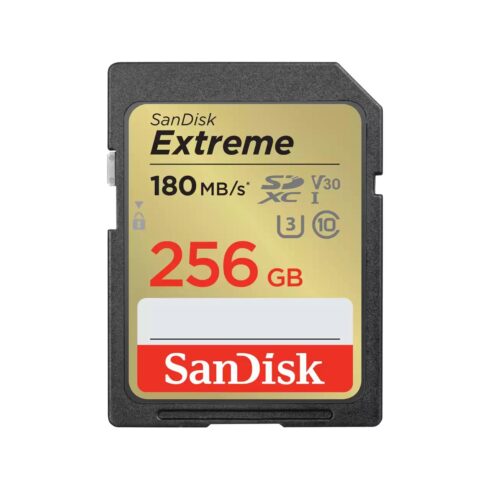 SanDisk SDXC 256GB UHS-1 atminties kortelė