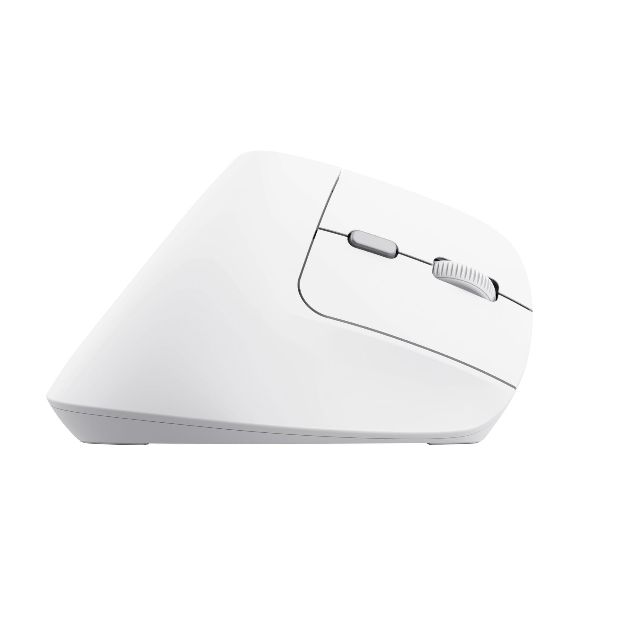 201c2e08-b021-40c8-bc6f-47e006998861 MOUSE USB OPTICAL WRL BAYO II/ERGO WHT 25398 TRUST