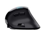 MOUSE USB OPTICAL ERGONOMIC/VOXX 23731 TRUST