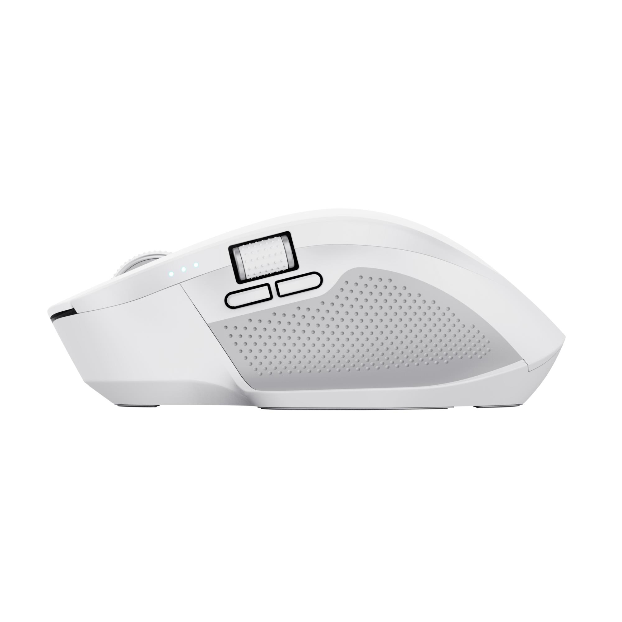 7a1116a0-8c9f-4c7e-85bd-527d7d0a3d3a Pelė USB optinė TRUST, baltos spalvos, šoninis vaizdas su mygtukais