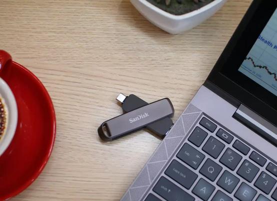 7e51a211-56b3-42fe-9dbf-693e952ec518 MEMORY DRIVE FLASH USB-C 1TB/SDDDE1-1T00-G46 SANDISK