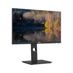 LCD Monitor DAHUA DHI-LM24-P301A 23.8" 2560x1440 16:9 75Hz 6 ms Swivel Tilt Colour Black LM24-P301A