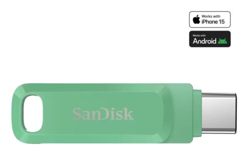 SanDisk USB-C atminties kortelė 512GB, modelis SDDDC3-512G-G46AG