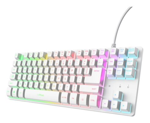 Klaviatūra Trust GXT 833W Thado su RGB apšvietimu, TKL