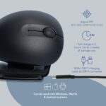 MOUSE USB OPTICAL WRL TWISTER/BLACK RGOTWBMWLBL R-GO TOOLS