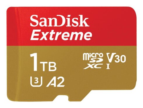 SanDisk microSDXC 1TB UHS-I/W/A SDSQXAV-1T00-GN6MA