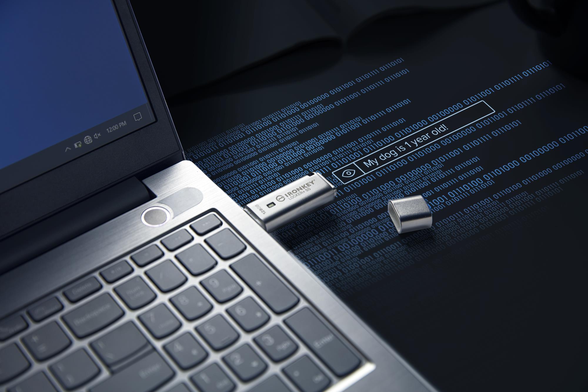 d1c32f44-128a-4479-bf37-9c4bcc542bfb MEMORY DRIVE FLASH USB3.2/128GB IKLP50/128GB KINGSTON