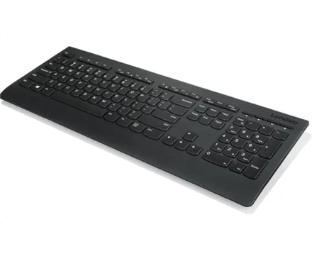 Lenovo   Professional   Professional Wireless Keyboard - US English with Euro symbol   Standard   Wireless   US   Black   English   700 g   Numeric keypad   Wireless connection