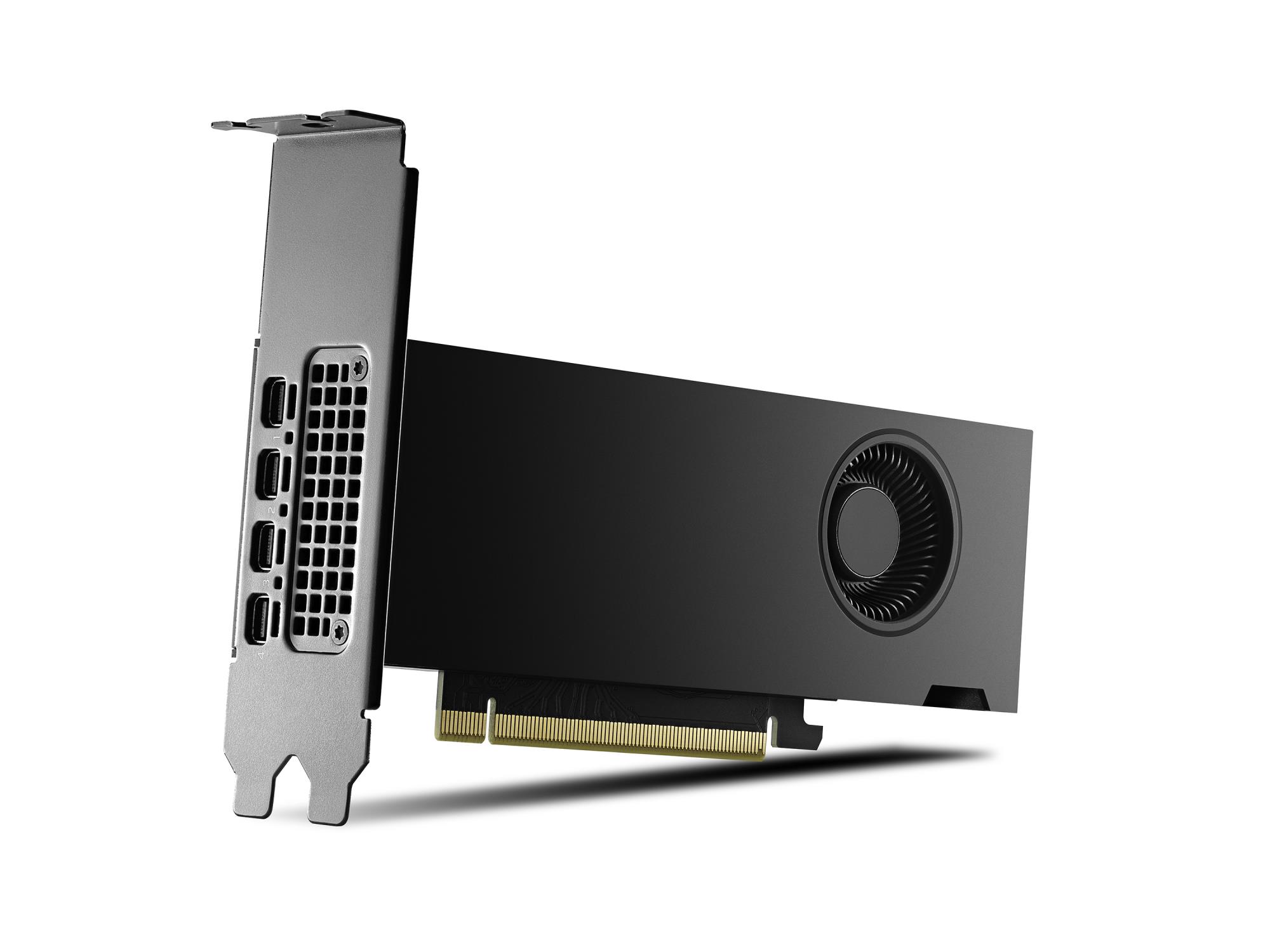 098792a0-4aa0-4ba8-a2a1-2bd18e50ac31 PNY NVIDIA RTX 2000 Ada 16 GB GDDR6 vaizdo plokštė, PCI Express x8 4.0