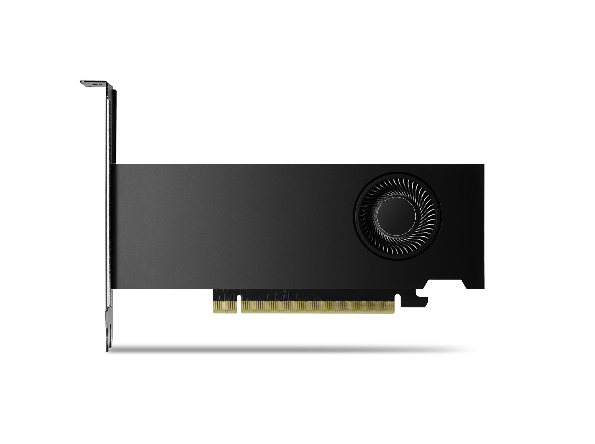 11404b43-2ad8-47b6-9c21-598e3ee2a960 Vaizdo plokštė PNY NVIDIA RTX 2000 Ada, šoninis vaizdas su jungtimis