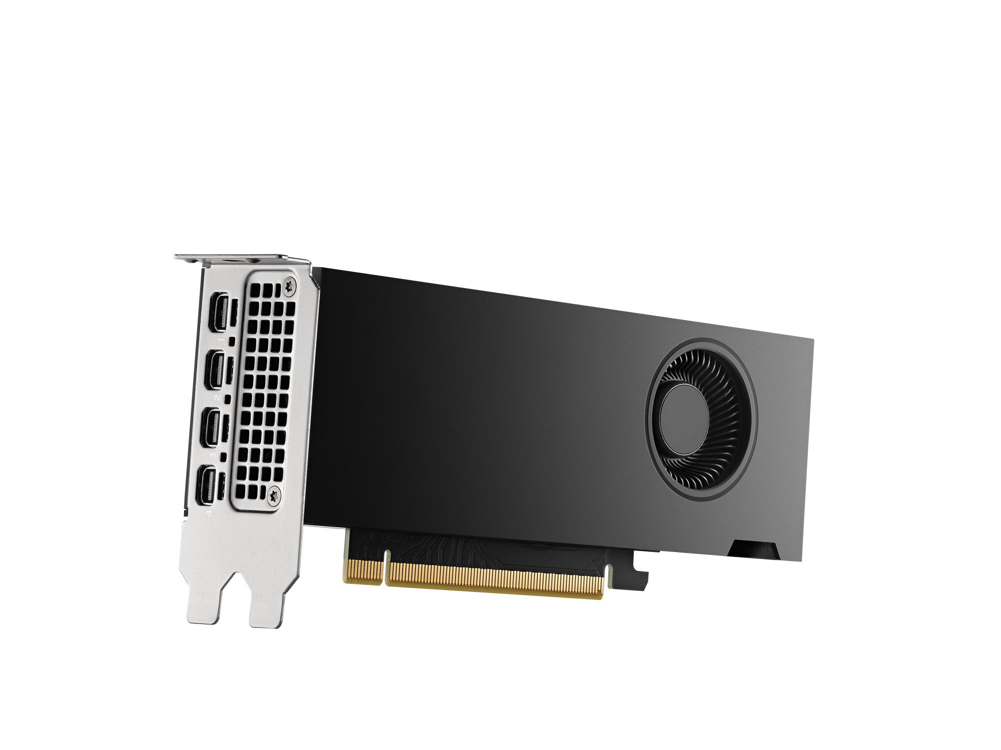 5a18dc18-3a6a-4595-b08e-8b0e281bdd21 Vaizdo plokštė PNY NVIDIA RTX 2000 Ada, šoninis vaizdas su jungtimis