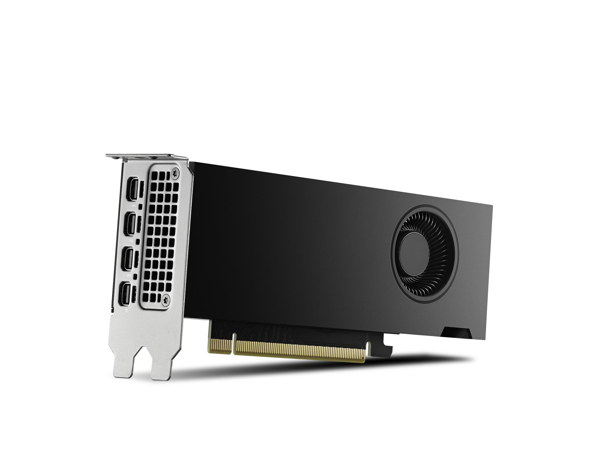 6808bc10-a2f8-49e1-8115-7a6198fb96a5 Vaizdo plokštė PNY NVIDIA RTX 2000 Ada, šoninis vaizdas su jungtimis