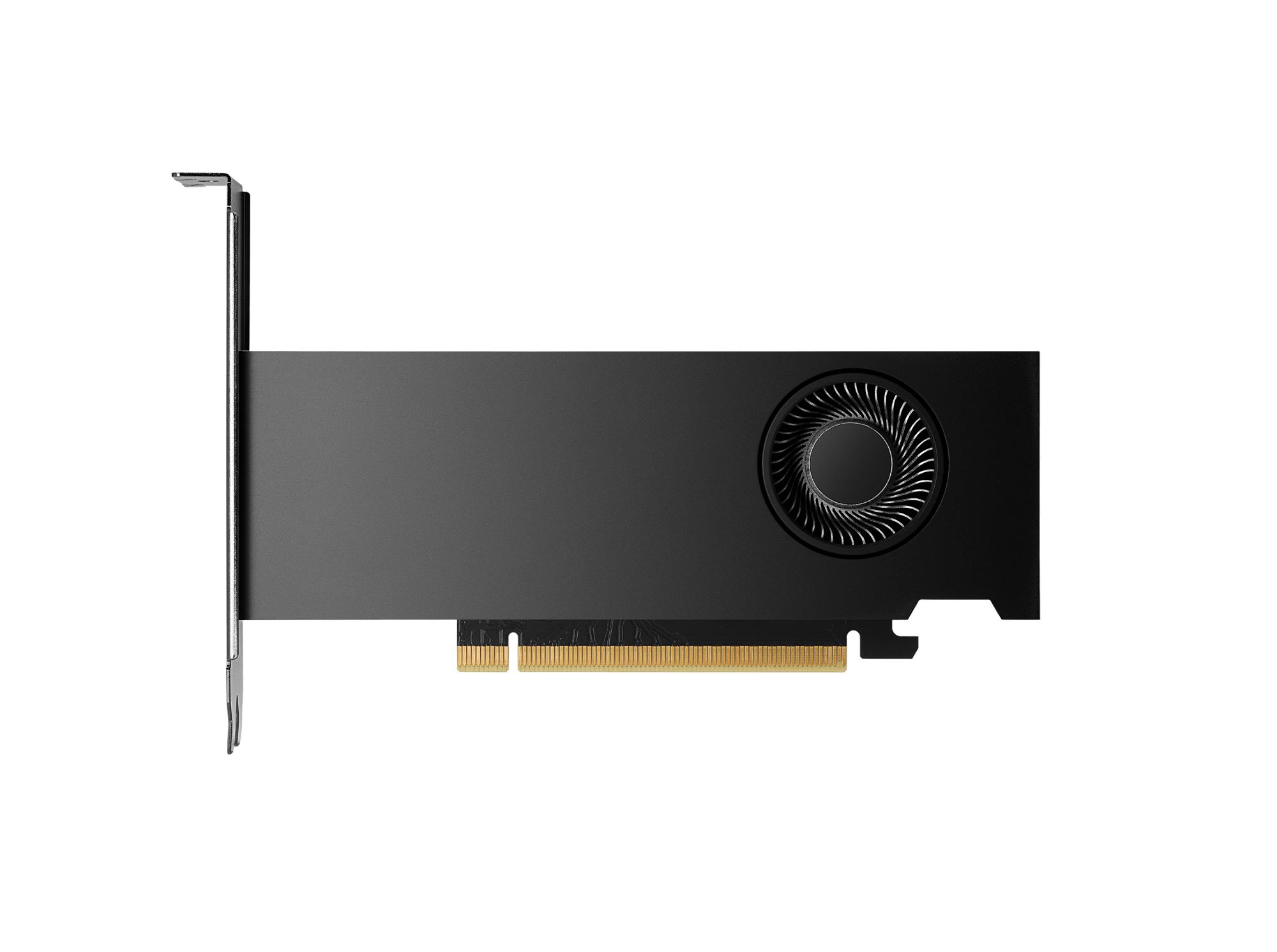 887c8bd8-cfc8-4105-aa2c-506bca3221f5 Vaizdo plokštė PNY NVIDIA RTX 2000 Ada, šoninis vaizdas su jungtimis