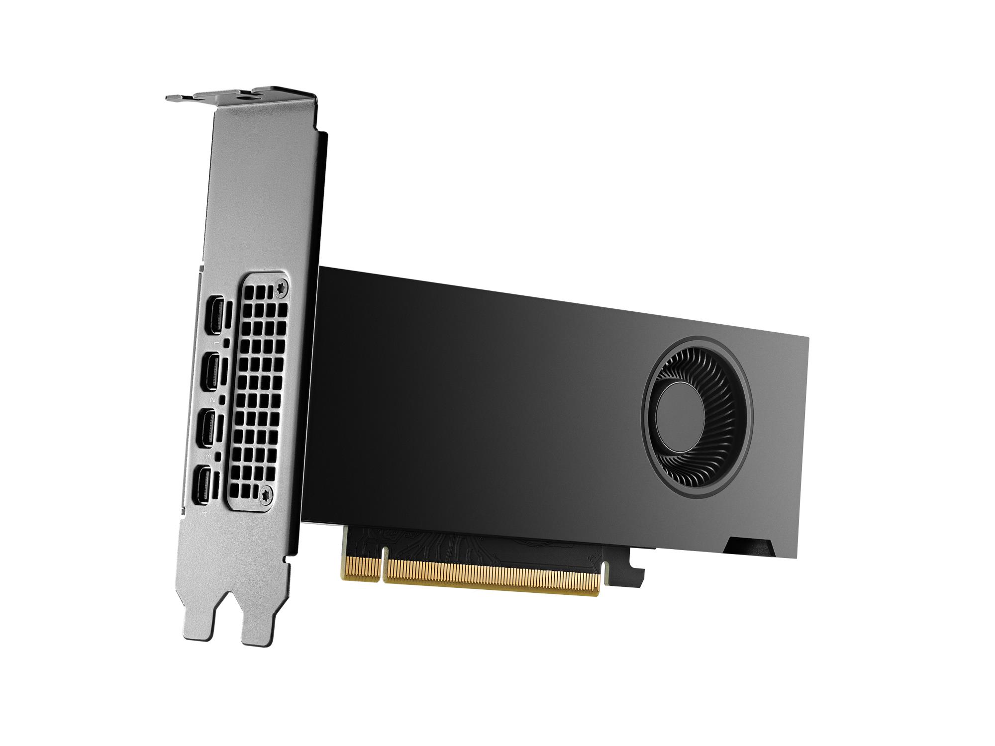 e366fa21-42ba-468f-94c1-8248202c13b7 Vaizdo plokštė PNY NVIDIA RTX 2000 Ada, šoninis vaizdas su jungtimis