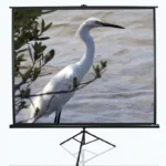Elite Screens   Tripod Series   T100UWV1   Diagonal 100 ”   4:3   Viewable screen width (W) 203 cm   Black
