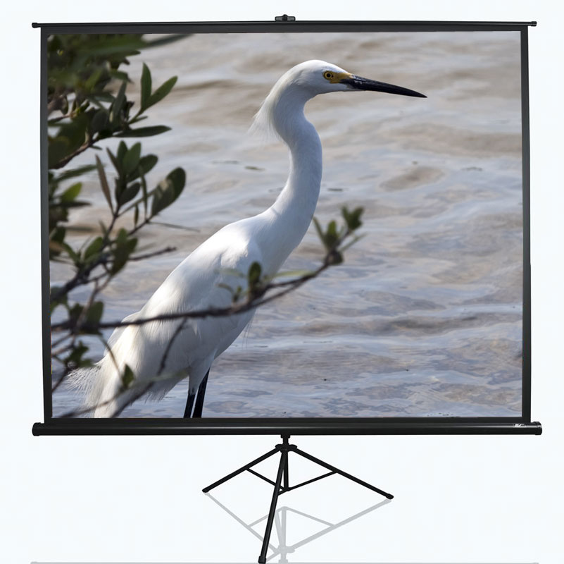 113873-t100uwv1-6944904418131-0.webp Elite Screens Tripod Series T100UWV1 Diagonal 100 ” 4:3 Viewable screen width (W) 203 cm Black