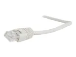 Cablexpert   PP12-0.25M   Beige RJ-45   RJ-45