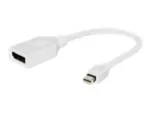 Gembird Interface DisplayPort adapter cable, white   Gembird