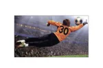 LG   49VL5G-A   49 ”   Landscape/Portrait   24/7   500 cd/m²   8 ms   178 °   178 °