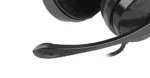 Natec   Headset   Canary Go   Yes   Wired   On-Ear   3.5 mm
