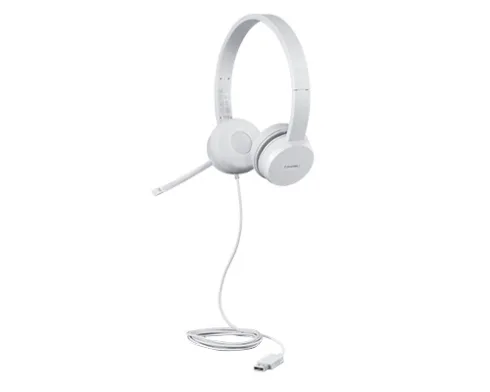 Lenovo   USB Headset   110 Stereo   Yes   USB Type-A