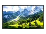 LG 43UT782H9ZA 43“ 3840×2160/350cd/m2/ HDMI CI Slot RF RJ45   LG