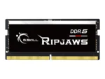 G.Skill   Ripjaws   16 GB   DDR5   5200 MHz   Notebook   Registered No   ECC No