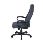 Onex Gaming/Office Chair   STC Compact S Series   Graphite
