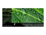 LG   4K UHD Commercial TV   55UR762H3ZC   55 ”   Landscape   16/7   webOS   Wi-Fi   400 cd/m²