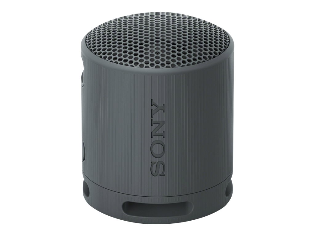 429058-srsxb100b-ce7-4548736146129-0.webp Sony Speaker SRS-XB100 Waterproof Bluetooth Black Portable Wireless connection