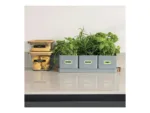 Brother PT-N20   Thermal   White/Blue