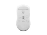 Fury   Gaming Mouse   Tanto T4   Wired/Wireless   2.4 GHz, Bluetooth, USB   White