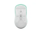 Fury   Gaming Mouse   Tanto T4   Wired/Wireless   2.4 GHz, Bluetooth, USB   Mint
