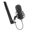 Genesis   Condenser Microphone   Radium 400 G2   Black
