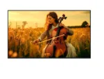 Sony TV   K55XR55B Bravia 5   55   Smart TV   Google TV   4K UHD