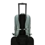 Targus Work+ Play Flex   Fits up to size 15-16 ”   Backpack   Green