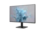 Philips   24E2N1110/00   24 ”   IPS   FHD   16:9   120 Hz   4 ms   1920 x 1080 pixels   300 cd/m²   HDMI ports quantity 1   Black