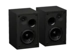 Genesis   Speakers   Arsen 302BT   20 W   Bluetooth   Black   Wireless connection