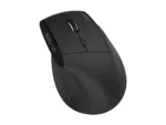 Acer Smart Fit Vertical Mouse, retail pack